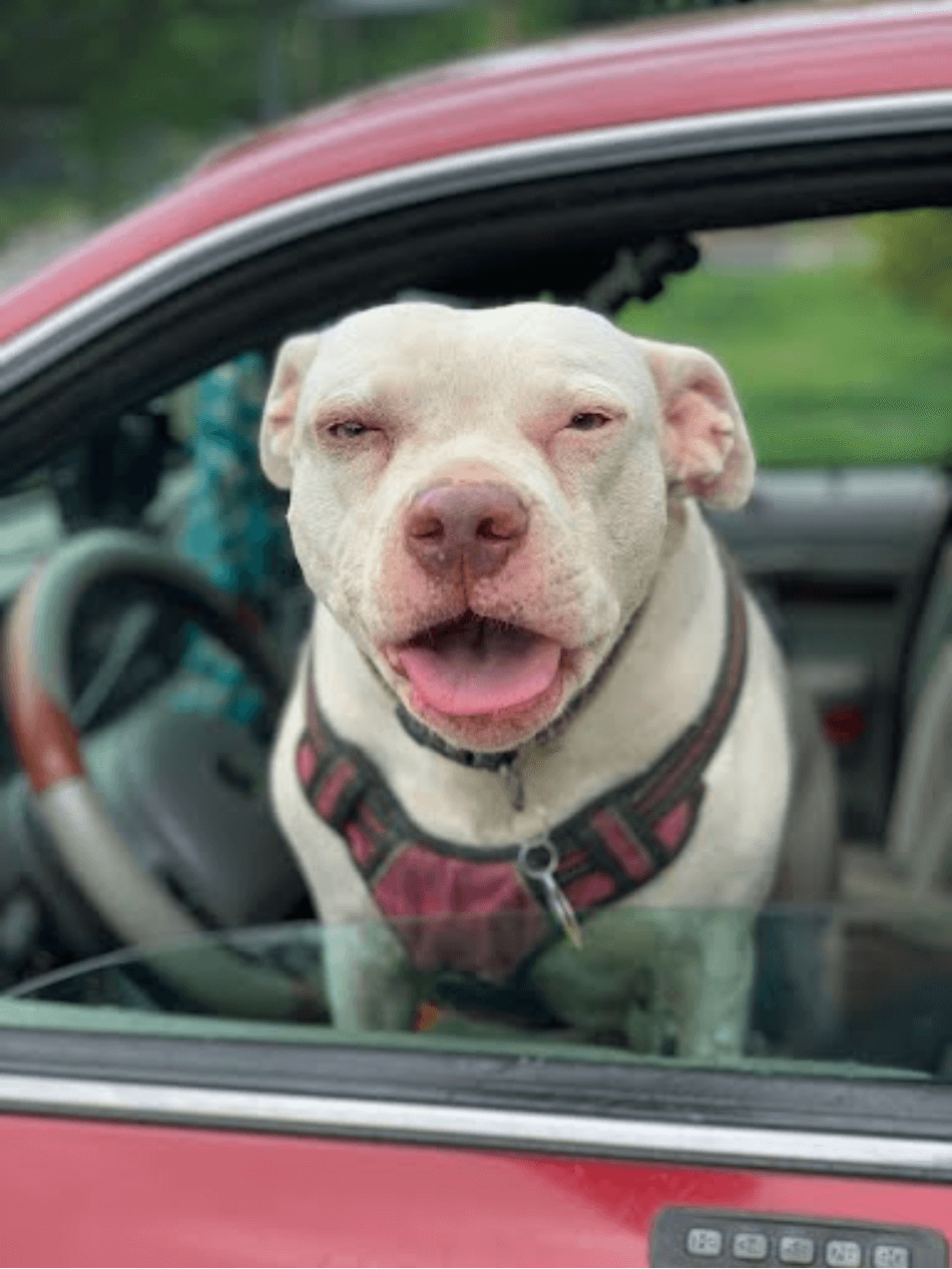 Kaki: - Mr. Zachary Waters