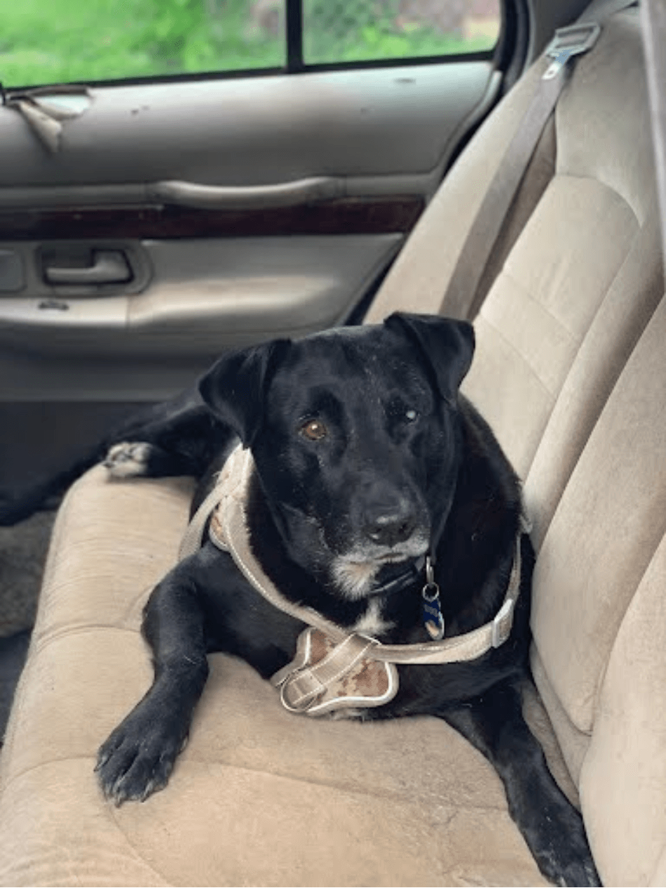 Whopper: - Mr. Zachary Waters