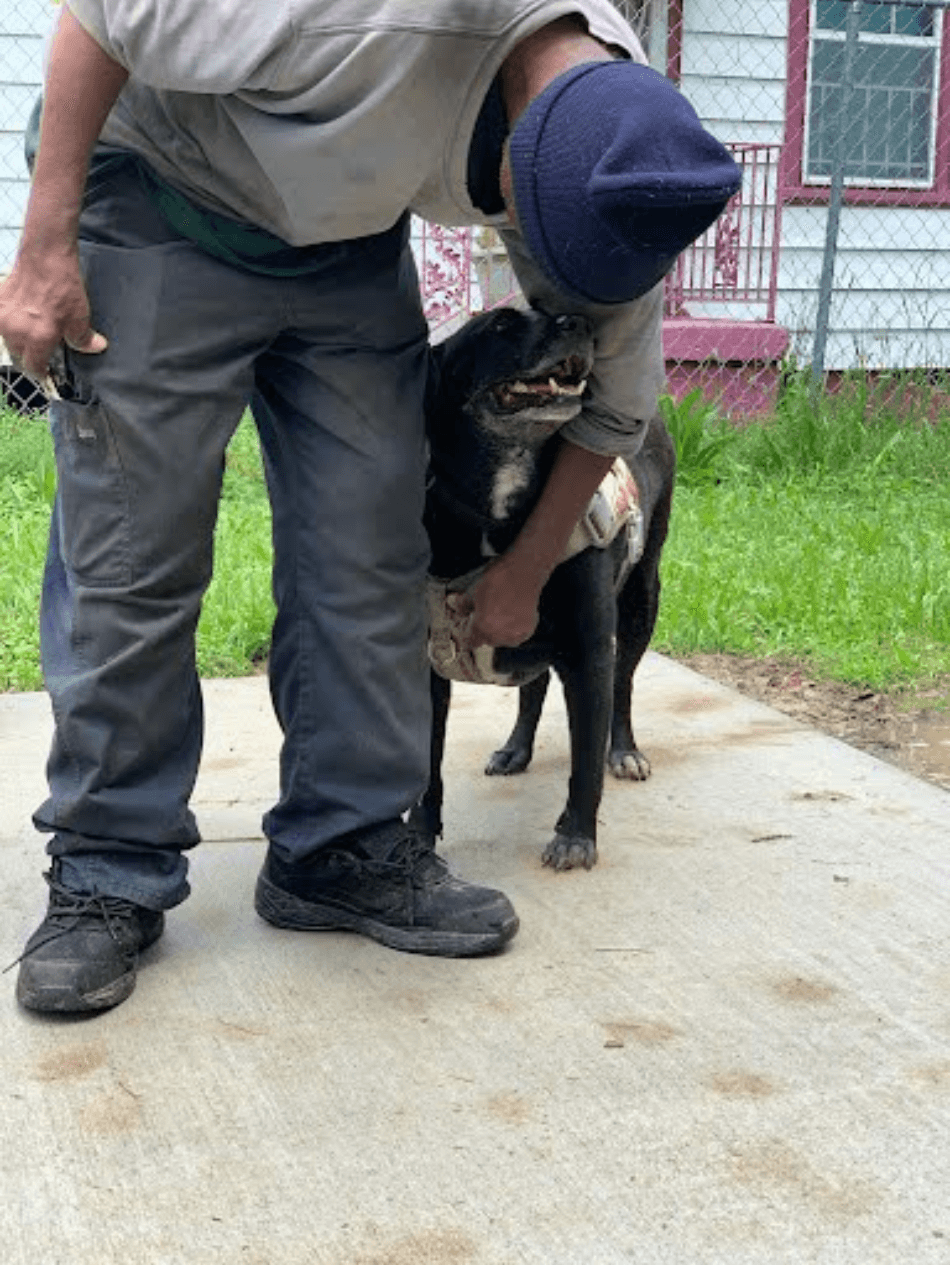 Mr. Henry Comas and Whopper: - Mr. Mike Kerr